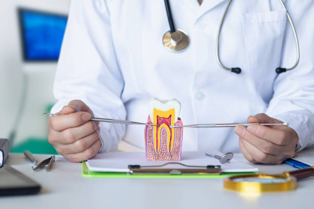 Best Dental Abscess Treatment in St Michael, MN